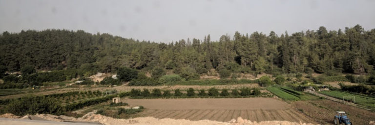 Passover Hallel Praise from a land of Abundance