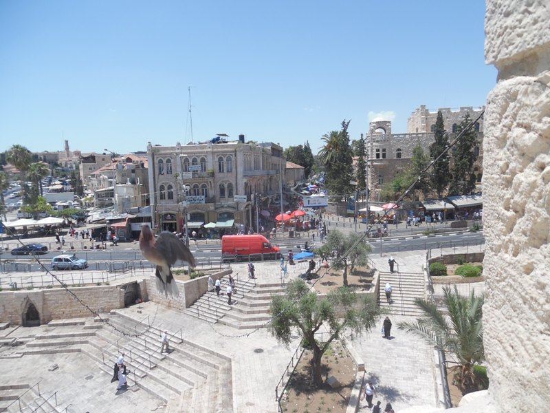 This view from above the Damascus Gate in Jerusalem contains a dove, the hope for Peace in Israel.