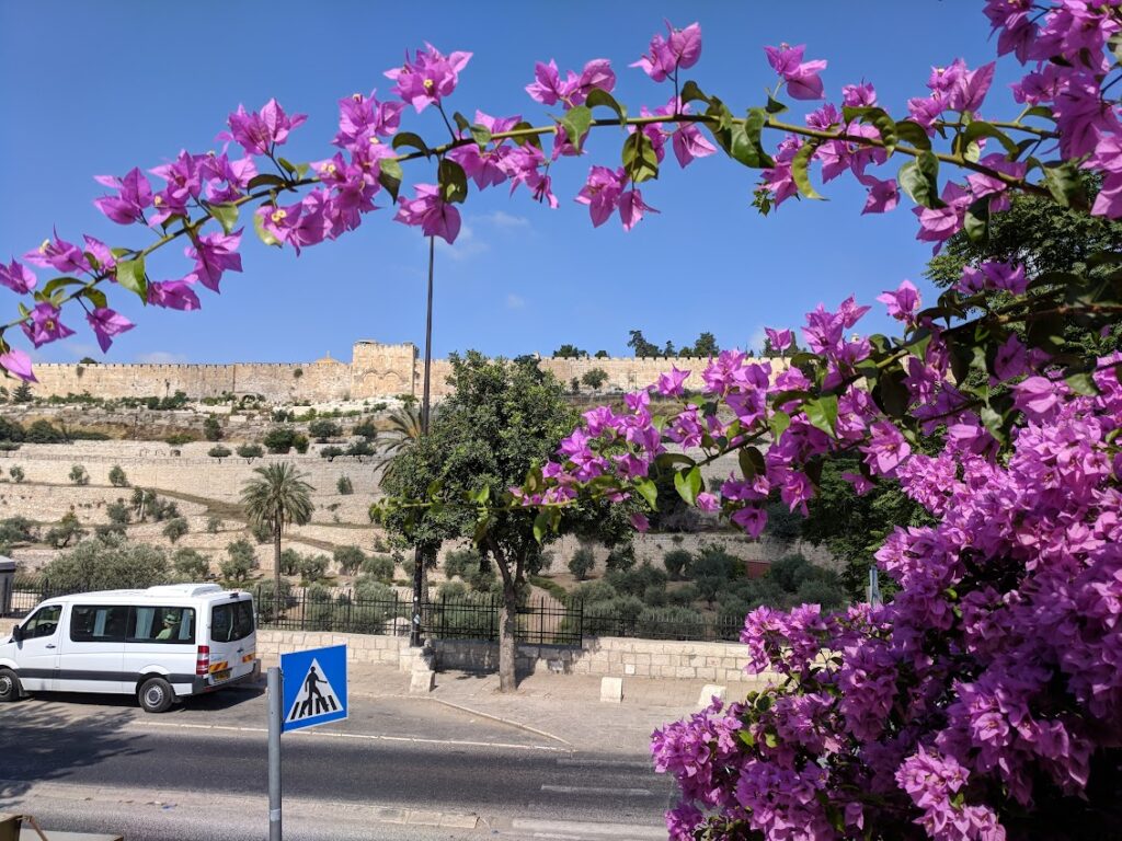 The Golden Gate of Jerusalem in the Spring